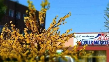 Arwain sor Арвайн сор grocery store - Арвайхээр
