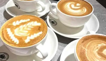 Good Barista Coffee Bean - Сбд - 7 Хороо