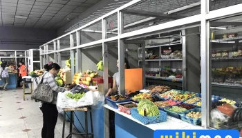 hasu holding market - Цэцэрлэг