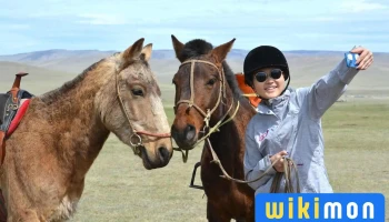 Mongolia Quest - Suite#1205