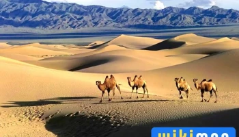 My Mongolia Travel - Улаанбаатар