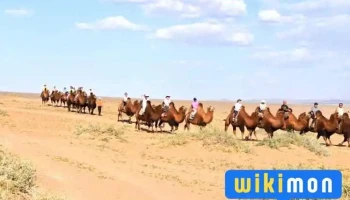 Visit Mongolia - Улаанбаатар