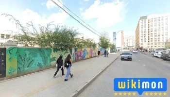 Webr вэбсайт хийх үйлчилгээ - Улаанбаатар