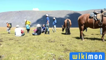 Western Altai - 1/25 Building