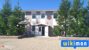Багануур дүүрэг дэх Шүүхийн шийдвэр гүйцэтгэх хэлтэс - Багануур