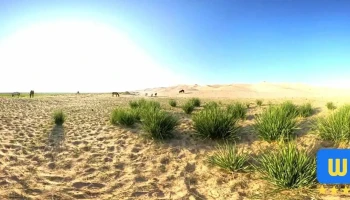Балгасын Улаан Нуур - Өмнөговь