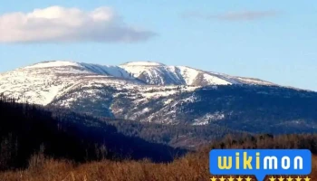 Бурхан Халдун уул - Төв