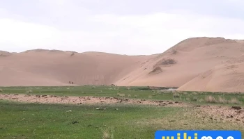 Бөөрөг дэлийн элс - Увс
