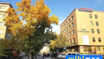 Ган зам