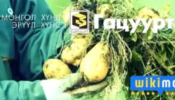 Гацуурт - Улаанбаатар