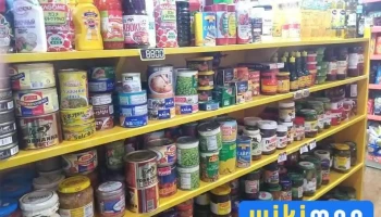 Говийн нар Хүнсний дэлгүүр - Монгол