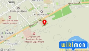 Дорнод Аймгийн Хөгжлийн бэрхшээлтэй хүний хөгжлийн төв - Чойбалсан