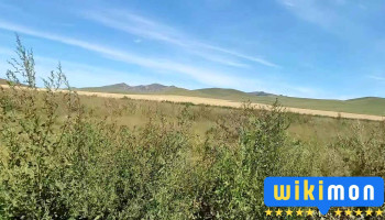 Жаргалант - Төв