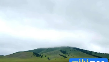 Зурын Малчин Айл - Борнуур