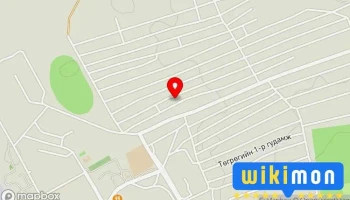 лүн дугуй засвар авто угаалга автозасвар - Чойр