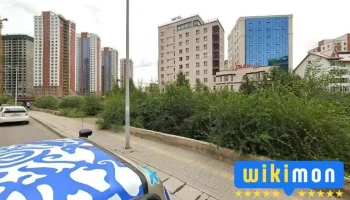 Монголын шооны холбоо - Сбд - 8 Хороо