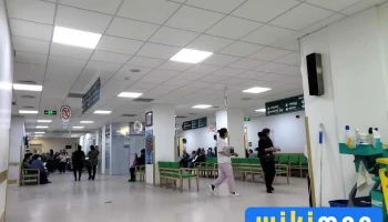 Сонгинохайрхан Дүүргийн Нэгдсэн Эмнэлэг - Улаанбаатар