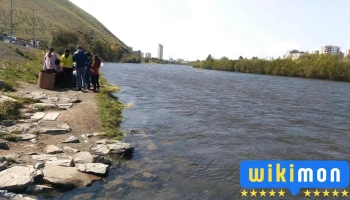 Туул гол - Улаанбаатар