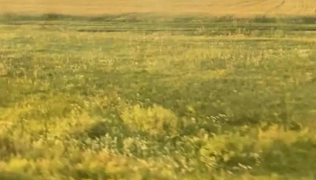 Төв аймаг жаргалант сум - Жаргалант