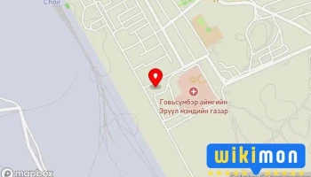 Чойр Цэрэгжүүлсэн хамгаалалтын анги - Чойр