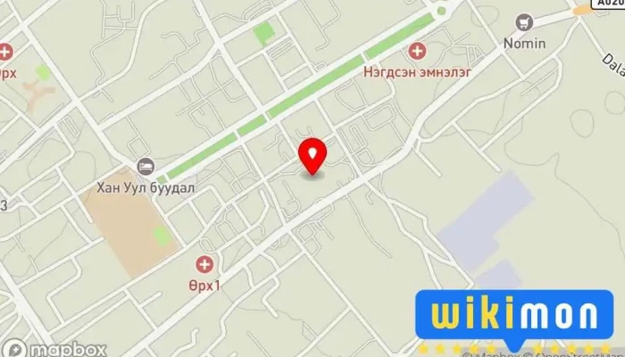 11-р цэцэрлэг - Даланзадгад