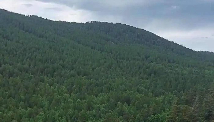 Aglag Buteeliin Khiidruu Salakh Uulzvar Video - Төв