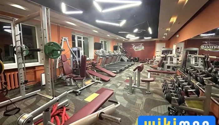 Amjilt fitness 3 - Сбд - 8 Хороо