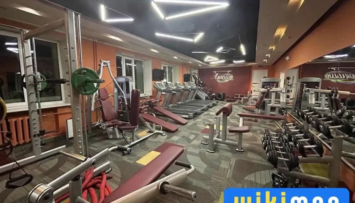 Amjilt fitness 3 - Сбд - 8 Хороо