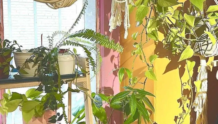 Artlag Handmade N Souvenir Store Artlag Delguur Urlag - Улаанбаатар