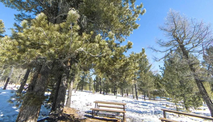 Asralt Khairkhny Otoglokh Tseg Neg Gudamzh Kharakh Bolon 360deg - Asaralta