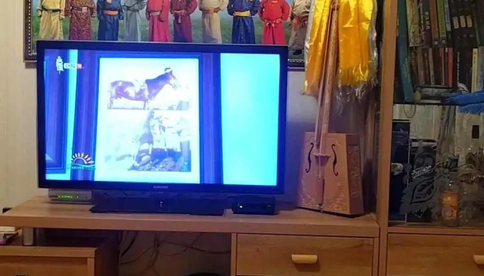 Baiangol Duurgiin Khodolmor Khalamzhiin Uilchilgeenii Kheltes Oroo - Улаанбаатар