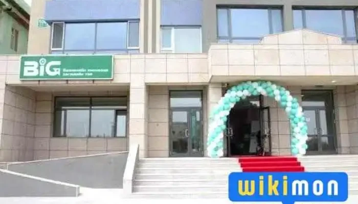 Big center in Dalanzadgad - Даланзадгад
