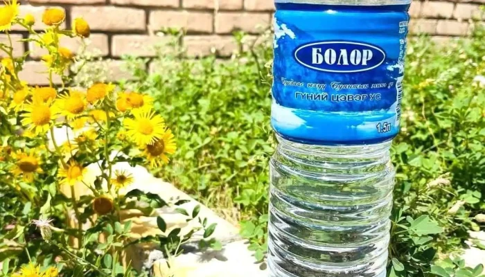 Bolor Tsever Usny Uildver Ezemshigchiinkh - Ховд