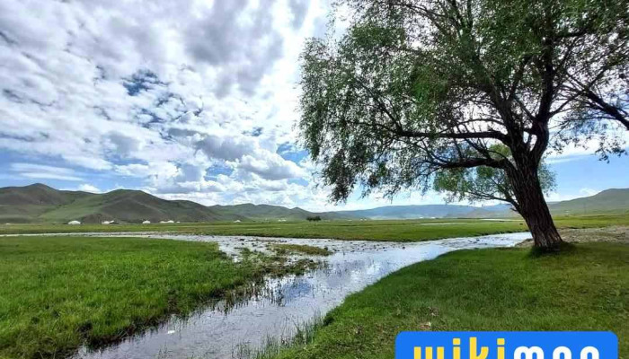 Burkhant Khoshuu, Uliyastay - Бзд - 35 Хороо