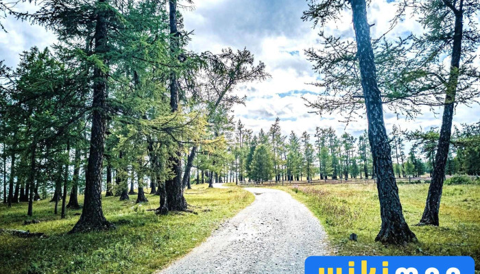 Camp Hirvesteg Khirvesteg Zhuulchny Baaz Zochdoos - Хатгал