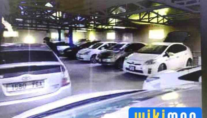 Car Rent Zholoochgui Turees Ikh Altain Khurd Ezemshigchiinkh - Улаанбаатар