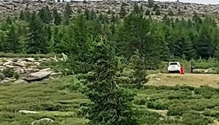 Daian Deerkhi Uul Bugd - Завхан