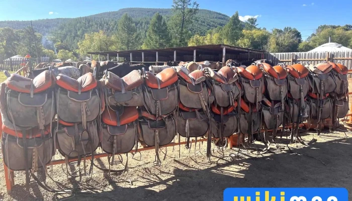Dog sledding Mongolia - Улаанбаатар 11000
