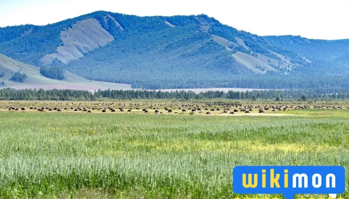 Eguur.mn - Улаанбаатар