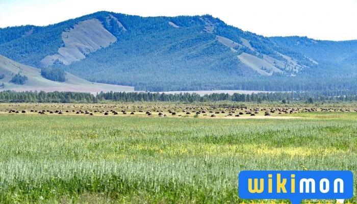 Eguurmn Bugd - Улаанбаатар