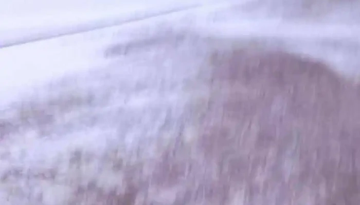 Elsen Tasarkhai Khoollokh Kheseg Video - Nomoganöy Khid