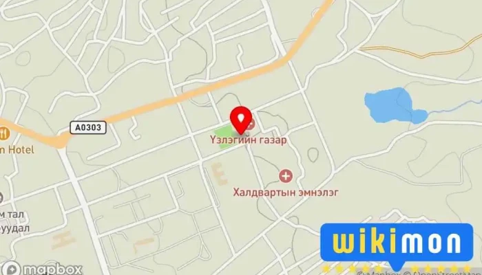 гэсэн газрын зураг Эрүүл мэндийн газар Төрийн Алба дээр Алтай