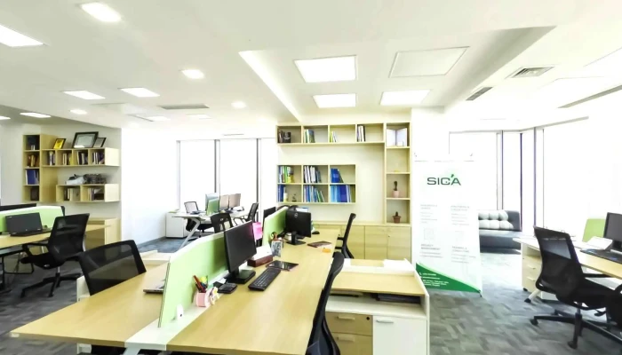 Es Ai Si Ei Khkhk Gudamzh Kharakh Bolon 360deg - Улаанбаатар