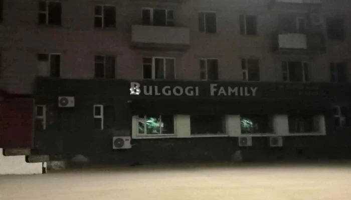 Friends Hotel -  Gadnakh Zurguud - Дархан