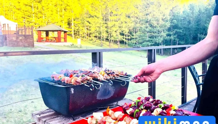 Gerelt Aialguu Resort Khool Und - Тэрэлж