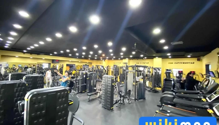Goku Gym - Сбд - 8 Хороо