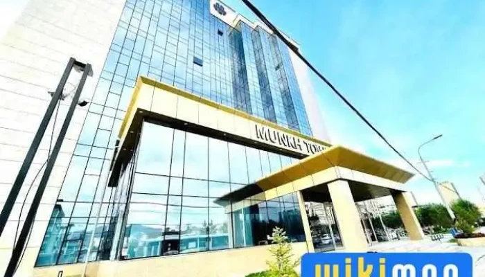 Hlb Mongolia Audit Llc -  Ezemshigchiinkh - Улаанбаатар