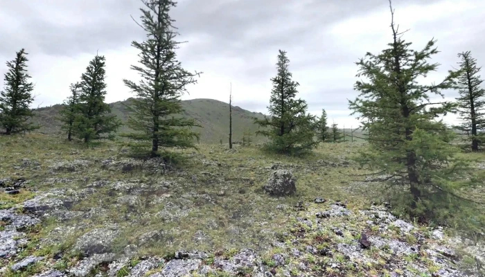Ikh Khorgo Zhuulchny Baaz -  Gudamzh Kharakh Bolon 360deg - Хорго