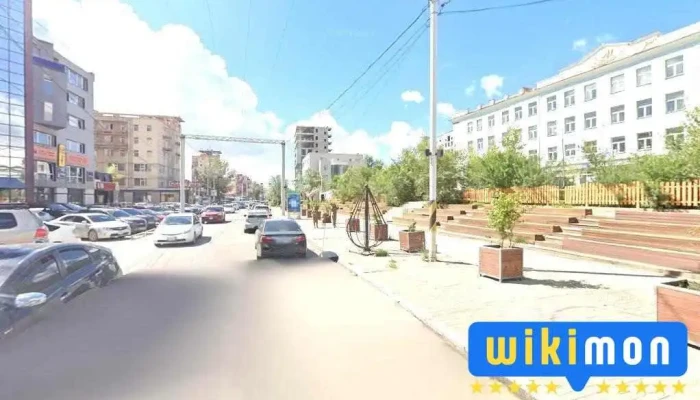 Irmuunegiin erdmiin ih orgoo - Улаанбаатар