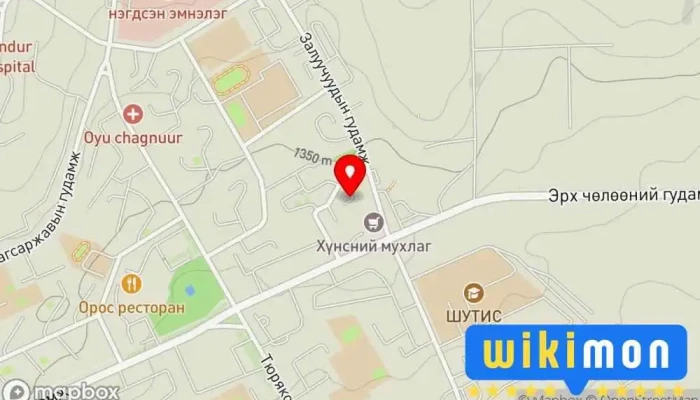 гэсэн газрын зураг ХЭАНийгэмлэг Төрийн бус байгууллага дээр Эрдэнэт